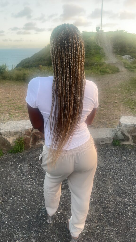 Mixed blond Fulani cornrow braids