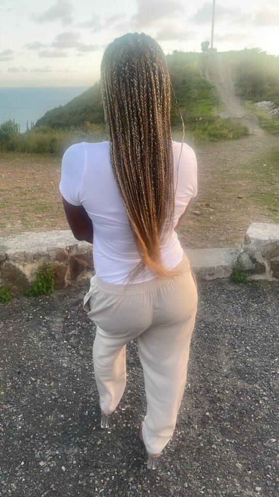 Mixed blond Fulani cornrow braids 2